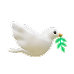 course_img